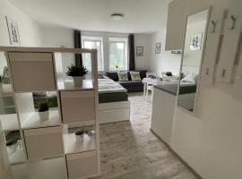 La Via Natura Apartmány Rejštejn，位于Rejštejn的酒店