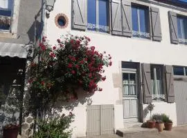 Maison authentique avec jardin clos, verrière et vélos à Charroux - FR-1-489-538
