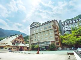 Hotel Hikyounoyu，位于三好市的酒店