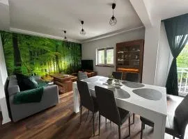 Loft Apartments Bielawa "Las" Polskie Como Góry Sowie