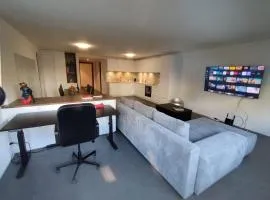 Spacious and quiet apartment