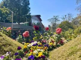 GOOSENECK HOTEL and RESTAURANTS