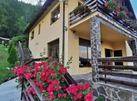 Casa Codrilor