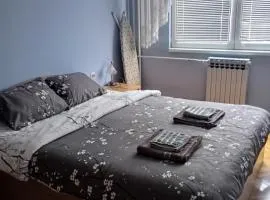 Apartman Icić