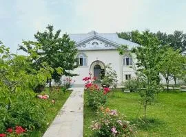 Big yard white villa AYT