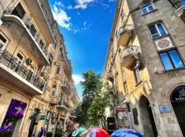 Cozy Inn Nizami street