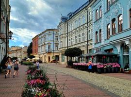 Pod Bimą，位于塔尔努夫的酒店