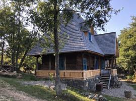 Poiana Creasta Cocoșului-Casa Floare De Nu Mă Uita，位于Breb的酒店