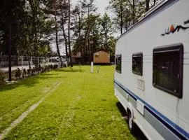 Camping Dollar - Plaża Nowe Guty