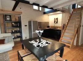 Maison cosy au cœur du Marais Poitevin