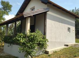 Vikendica Varosiste Rogatica，位于Rogatica的酒店