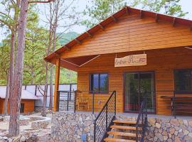 Apino Lodge del Celaque，位于格拉西亚斯的酒店
