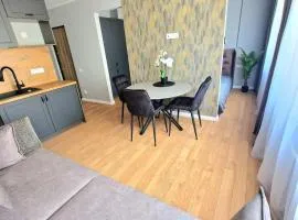 Trumpalaikė buto nuoma Plungėje STUDIJA A