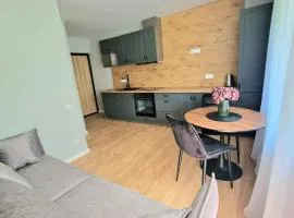 Trumpalaikė buto nuoma Plungėje STUDIJA B