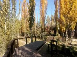Tunuyán centro