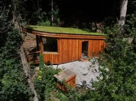 The Toads Hideout - A Cabin in an Ancient Welsh Woodland