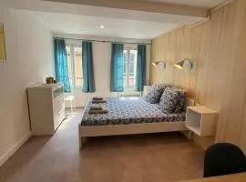 Cozy downtown studio - close to Cité & shops
