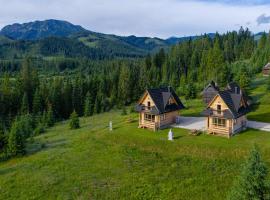 Niedźwiedź nad Chochołowską，位于维托韦的酒店