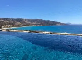 Luxury villa with private infinity pool and stunning sea view