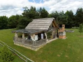 Holiday Home Ernest Železni with hot tub