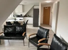 Comfortable apartment in Coswig