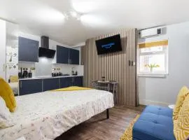 Newly Renovated Studio in Center