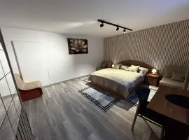 Apartmán pri zmrzline