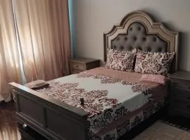 Residence Manu Tg Neamț