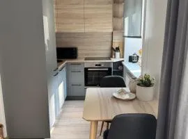 Center Studio type Apartment