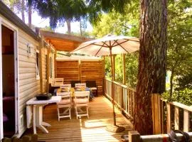Charmant mobil home au Cap Ferret, idéalement situé dans un camping 4 étoiles Sibulu les Embruns à Claouey