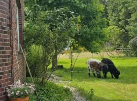 Ferienwohnung Wiesmoor - Ranch