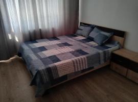 Cazare Alin&Figa，位于贝克良的酒店