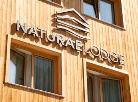 Naturae Lodge Wellness & Spa，位于阿莱盖的滑雪度假村