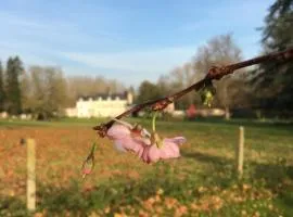 Château de la Saulinière