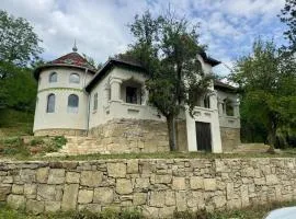 Conăcel între Vulcani