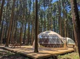 Akagi Tokiwagi Forest Campsite - Vacation STAY 85745v
