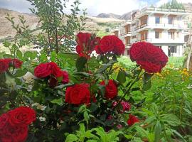 The Mount View Retreat，位于Nako的酒店