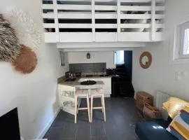 Maisonnette studio chambre mezzanine indépendante