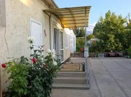 Eco house