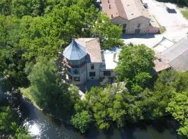 Château de Livière