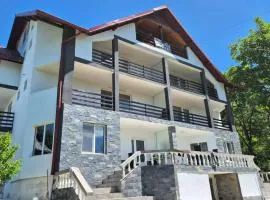 Casa Dobrin