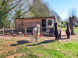 Alpaca Lodge