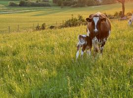 Resta farm bondgårdshotell，位于Örsundsbro的酒店