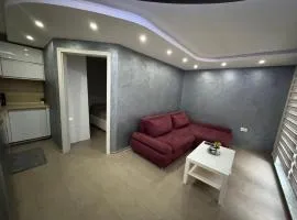 Koper apartma okolica