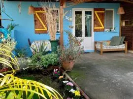 Maison charmante à Bras-Panon avec piscine et jardin