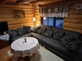 Country house with sauna
