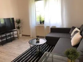 New cozy flat for 6 Pick fresh fruit from the garden