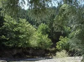 Outsidersi Campsite