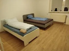 Spacious Flat with 3 bedooms for 5-8 guests