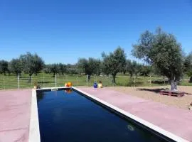 Herdade Da Carapuça